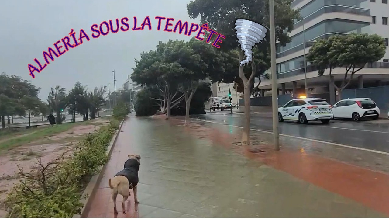Tempête à Almería 🌪️ Notre camping-car dans l’eau, la ville sous le vent 09.005