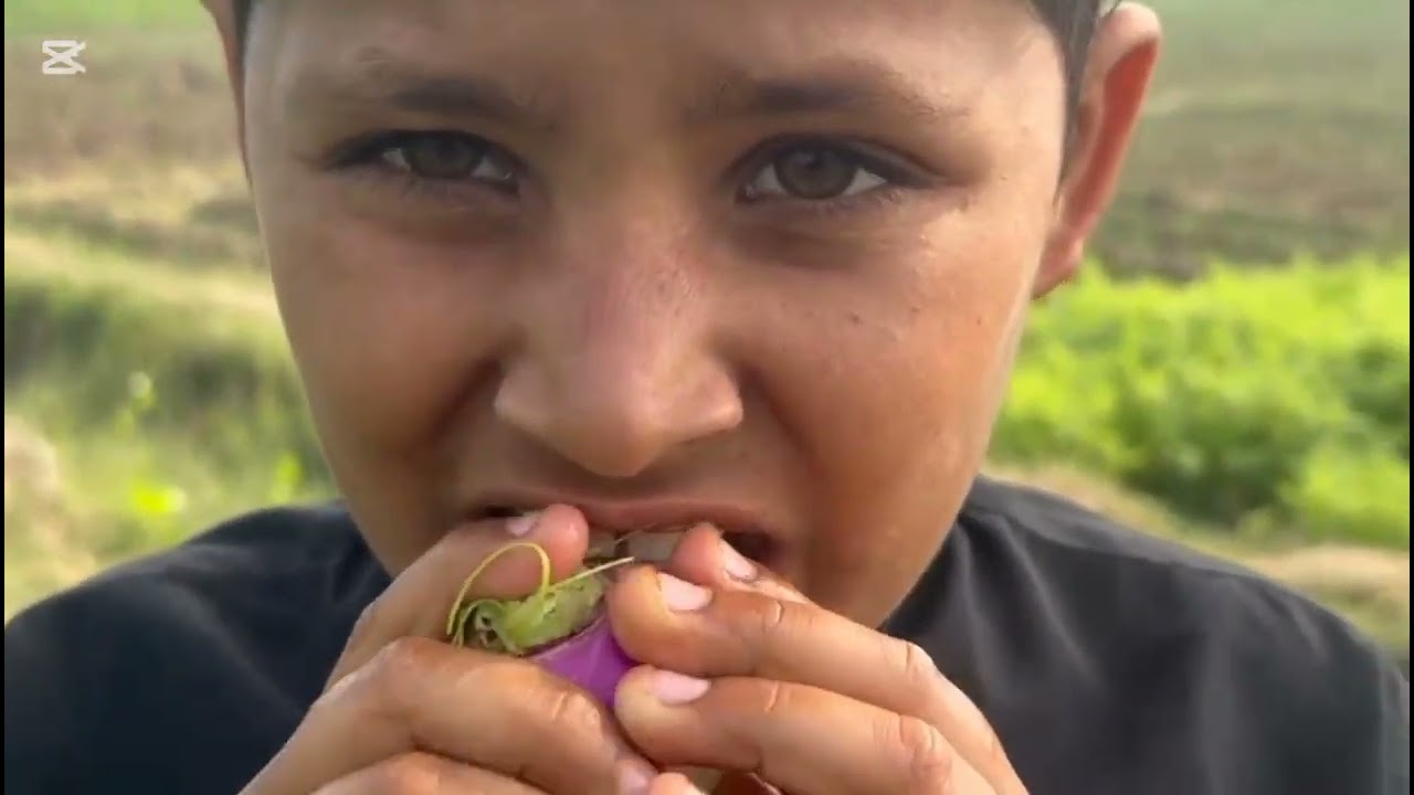 how to vlog pla like 