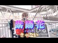 “茉ひる”【紫陽花/きゃない】2022年版※詳しくは概要欄をご覧下さい!#茉ひる #まひる #紫陽花 #きゃない
