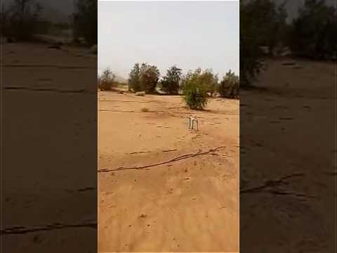 افضل الأراضي الزراعية ف الواحات البحرية للسعر تواصل معانا 01019231237