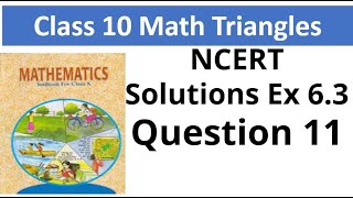 Class 10 Math chapter 6 Triangles Ex 6.3 Question 11