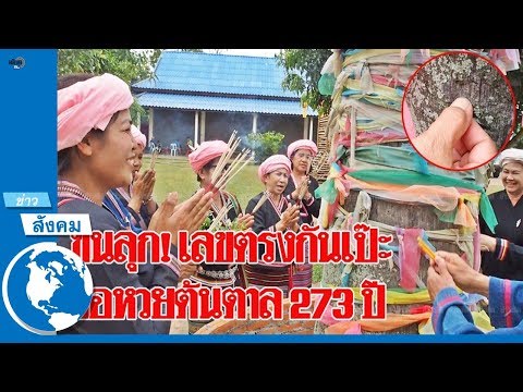 ออก รถ ใหม่ ดอกไม้ ธูป เทียน