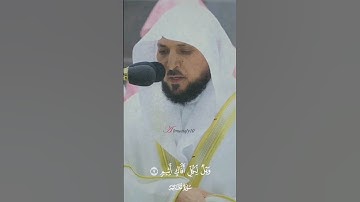 تلاوة تدبُرية فذة من سـورة الجاثية لصاحب الصوت الخاشع الشيخ د. ماهر المعيقلي | رمضان ١٤٤٤هـ