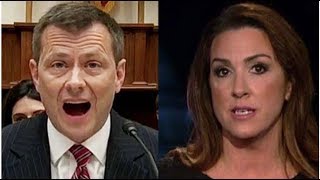 SARA CARTER PUTS STRZOK S PINK SLIP UNDER MICROSCOPE MUCH MORE THAN TEXTS GOT HIM FIRED