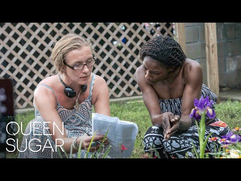 Christina voros on the necessity of perseverance | queen sugar | own