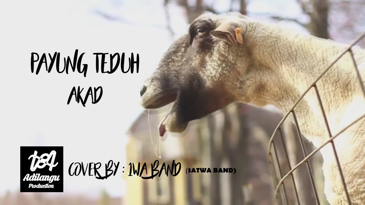 Vidio Lucu Banget Payung Teduh Cover By Aneka Satwa 1WA Band
