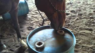 video-2011-07-03-08-21-18.mp4