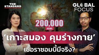 The Last of Us กับเชื้อราซอมบี้ในโลกจริง เปลี่ยนมนุษย์เป็นซอมบี้ได้จริงหรือ? | GLOBAL FOCUS #5