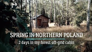 2 Days In My Forest Cabin, Bushcraft, Woodworking, (FullHD) PART I by Johnny in the bush  610 views 1 year ago 19 minutes