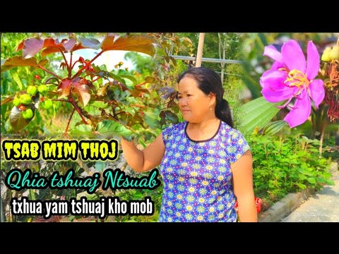 Video: Tshuaj Ntsuab Rau Rhaub. Tshooj 2