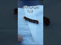 جربي شي نهار كولي ليهم لا