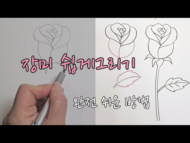 장미와 하트를 단계별로 그리는 방법