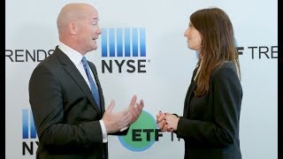 Providers Tailoring ETF Suites for a Comprehensive Investment Portfolio