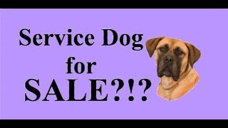 Service Dog for SALE on Craigslist