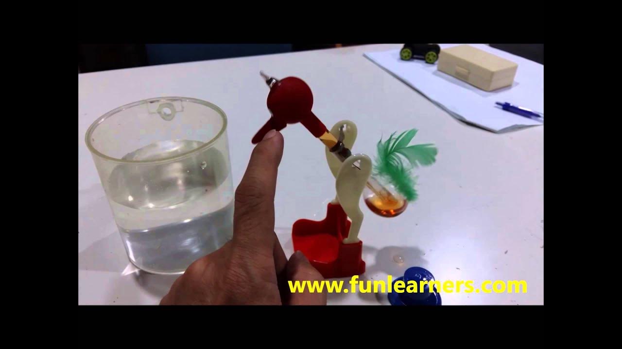 drinking bird explanation YouTube