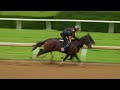 Kentucky Derby Winner Golden Tempo works at Keeneland - May 30, 2026