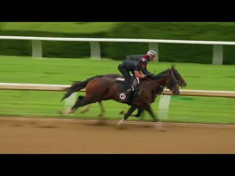 Keeneland Battaglia Picks