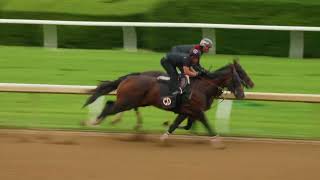 Kentucky Derby Winner Golden Tempo works at Keeneland - May 30, 2026
