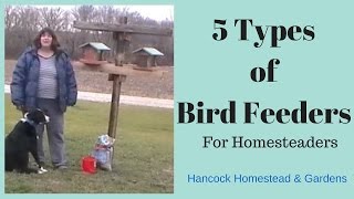 I show five different types of bird feeders that we use on our homestead to attract birds.
