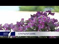 Кафе открываются на Камчатке | Новости Камчатки | Происшествия | Масс Медиа