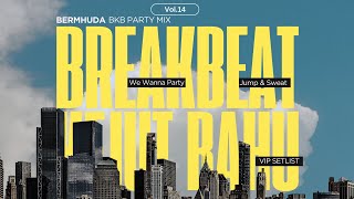 BREAKBEAT (BKB) PARTY MIX VIP VOL 14 BY BERMHUDA | DOWNLOAD SETLIST 33 TRACKS
