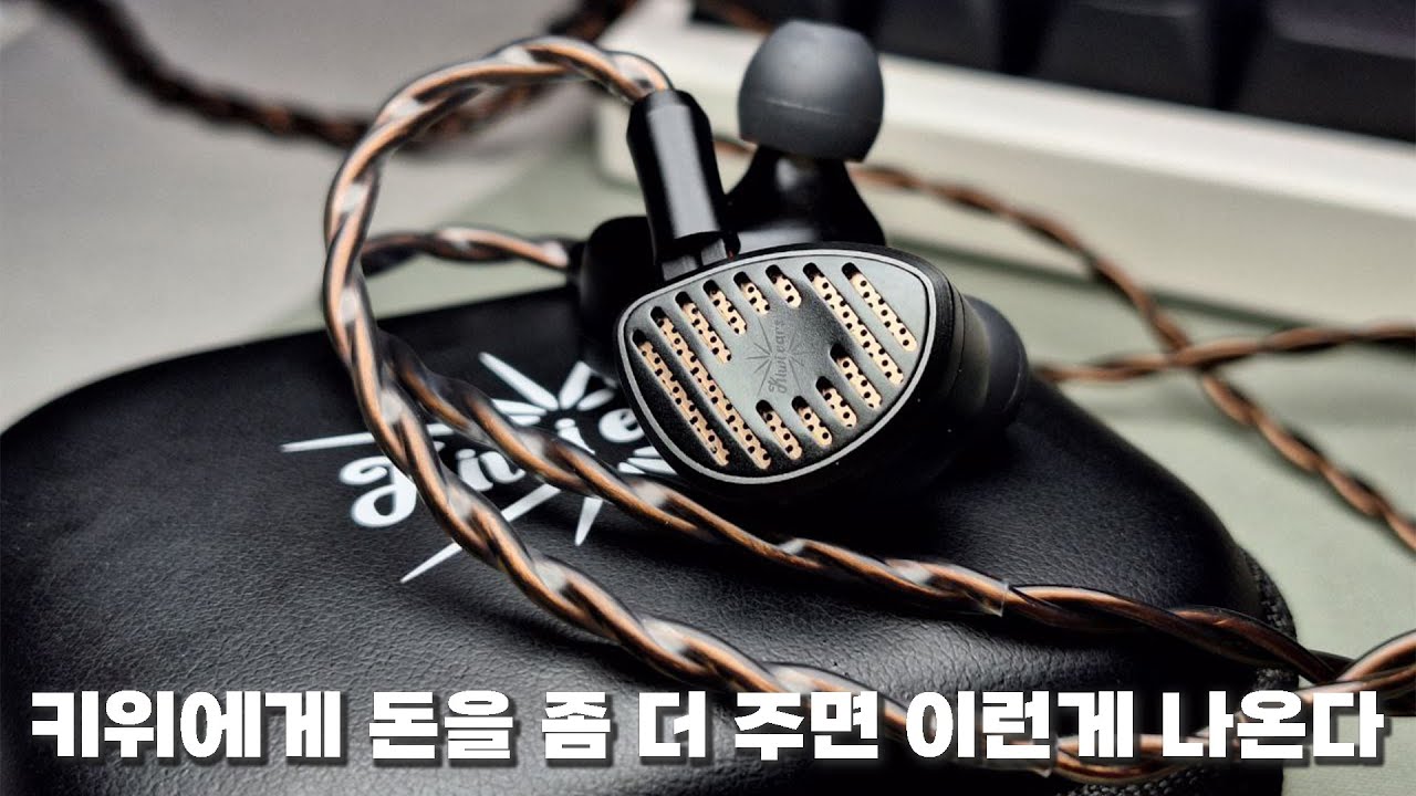 키위에게 돈을 좀 더 주면 이런게 나온다 1DD + 4BA + 평판 + PZT | Kiwi Ears Septet
