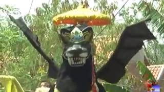 Juragan Empang asli Seni Burok Mjs Cirebon Jabar