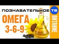 Разница действия ОМЕГА 3 и 6 (Познавательное ТВ, Виктория Бутенко)