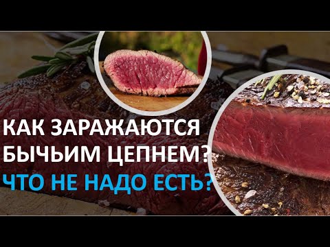 16. Как заражаются бычьим цепнем? Что не надо есть?