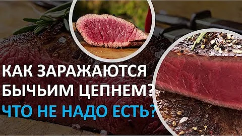 16. Как заражаются бычьим цепнем? Что не надо есть?