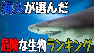 海人が選ぶ海で危険な生物ランキング