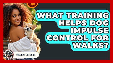 What Training Helps Dog Impulse Control For Walks? - Obedient Dog Guide