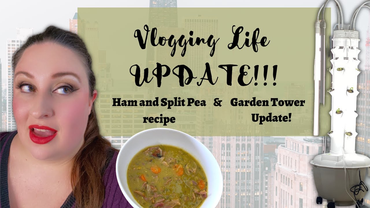 Vlogging Life Update!!!