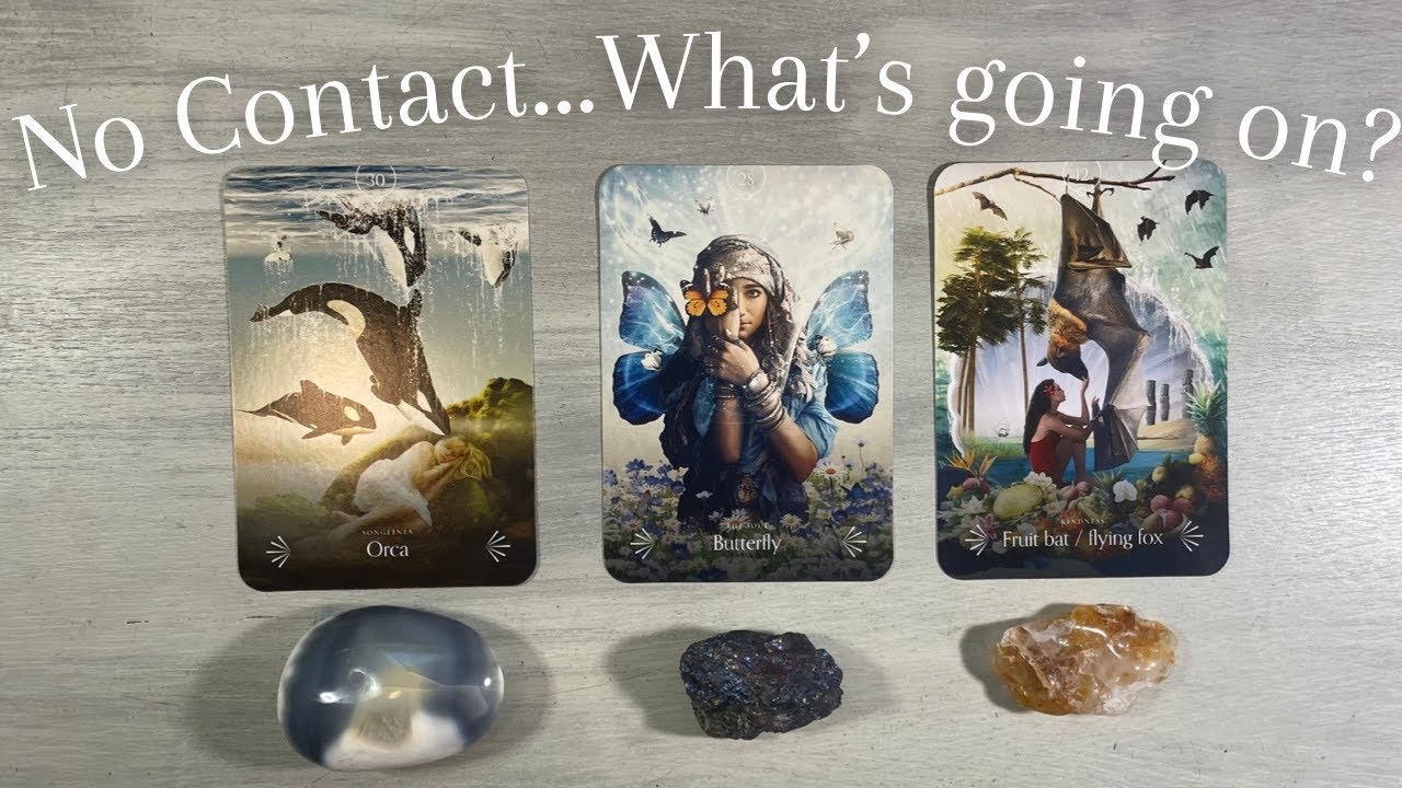 📵👀❔No Contact  What is Going on? Pick A Card (Timeless) Relationship Psychic Love Tarot Reading