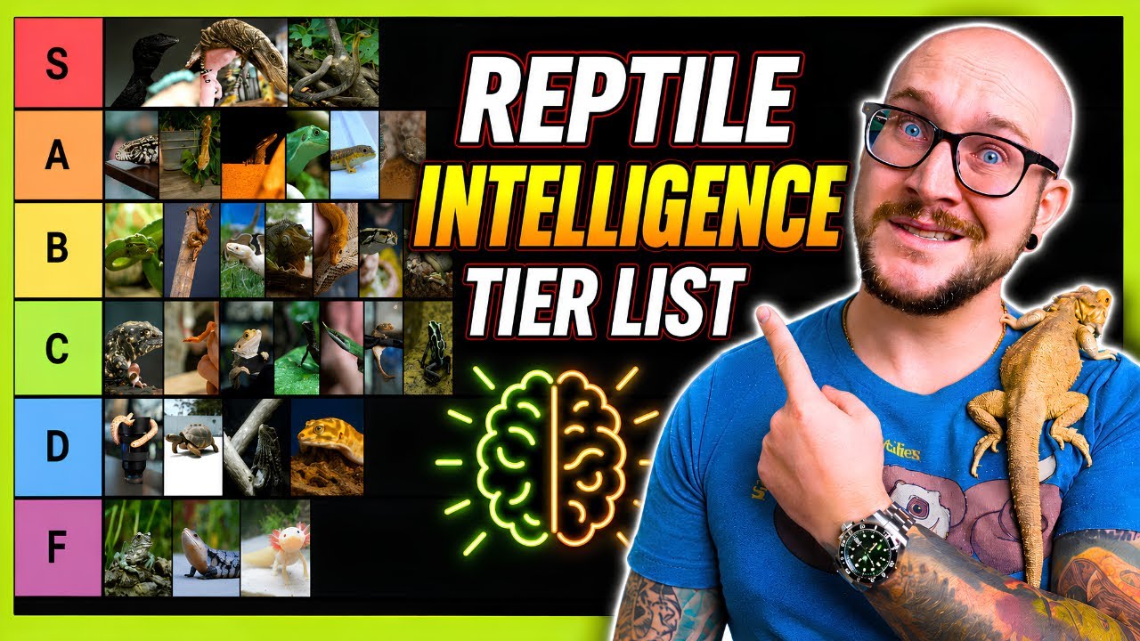 Ranking Every Reptiles Intelligence