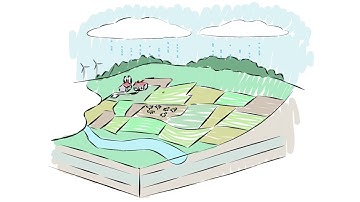 Diffuse Pollution Overview