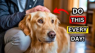 9 Things You Rarely Do for Your Dog (But Should Every Day)