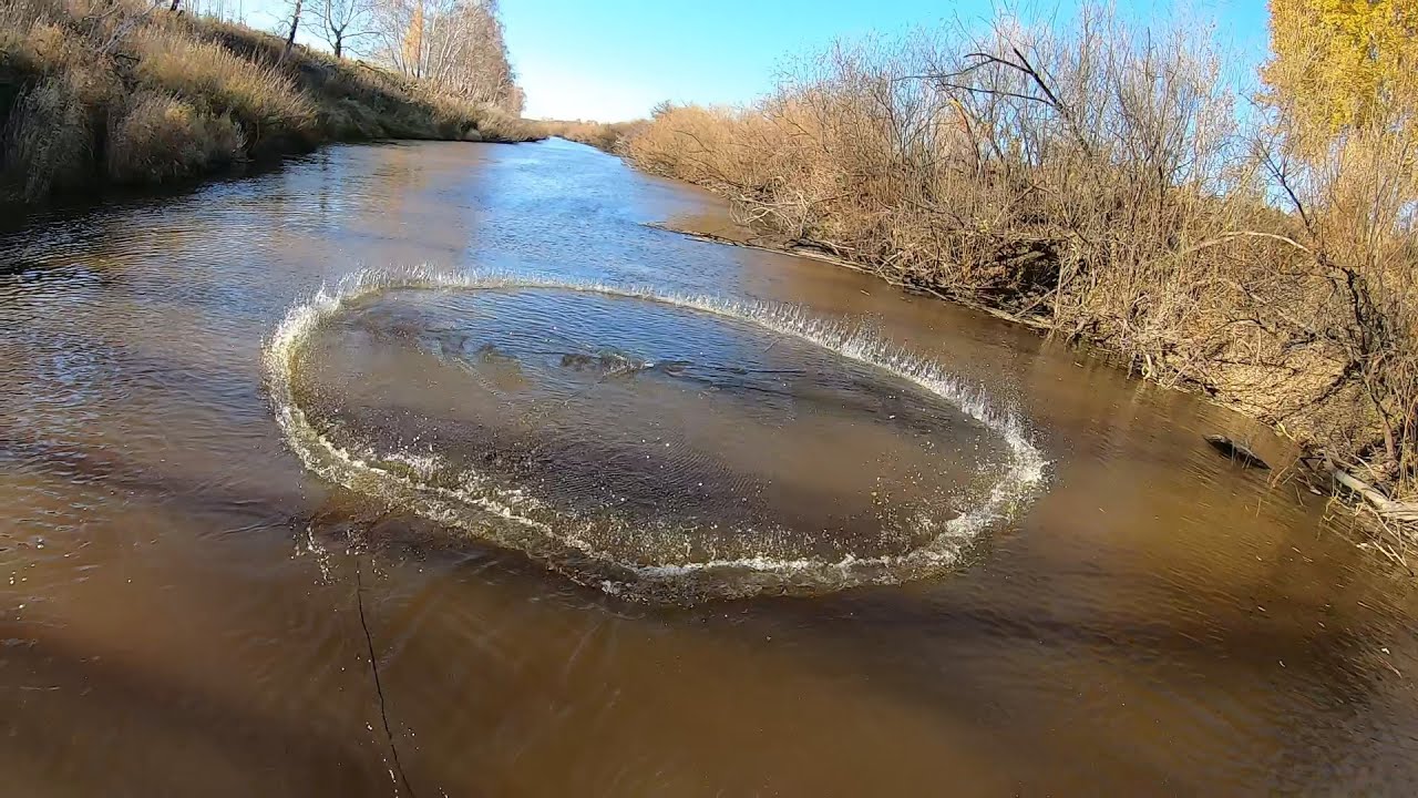 НОВАЯ СЕТЬ ПОРАДОВАЛА МЕНЯ ШИКАРНЫМИ ТРОФЕЯМИ. УДАЧНАЯ ОСЕННЯЯ РЫБАЛКА НА НАКИДКУ.САЗАН,ЯЗЬ,СУДАК!!!