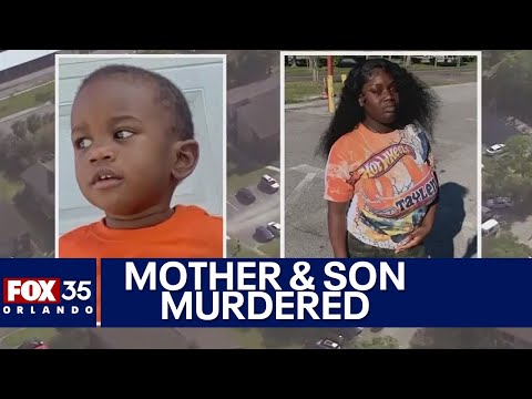 Mother was stabbed over 100 times; her son found dead in alligator's mouth