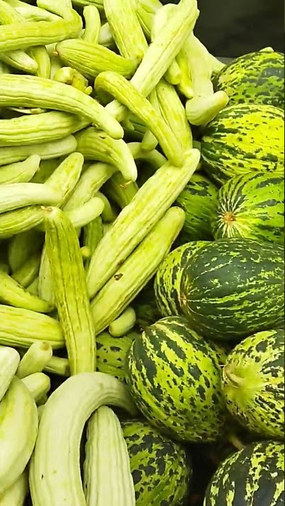 Download lagu Kelek ve acur zamanı başladı ✅#pazar#turşu#acur#kelek