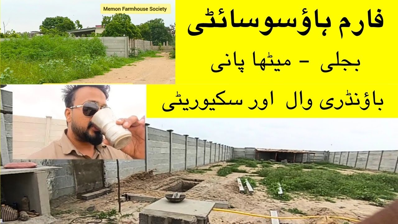 Biggest Cattle Farm Society in Gadap Town