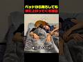 猫がベッドに何度も戻ってくる理由 #猫 #猫動画 #可愛い猫 #動物#動物動画 #面白い動物 #爆笑動物