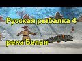 Русская рыбалка 4 Налим трофей, Таймень,  Фарм, река Белая. Russian fishing 4