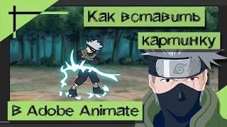 КАК ВСТАВИТЬ КАРТИНКУ в Adobe Animate | Импорт Изображений | Madoco School