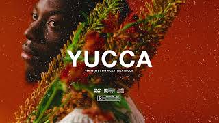 (FREE) B Young ft Omah Lay & Wizkid Type Beat "YUCCA" | Free Beat | Afrobeat Instrumental 2023