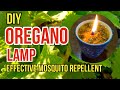How to Make Oregano Oil Lamp | Health Benefits of Oregano | #naturalmosquitorepellent
