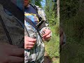 Вот такая у нас защита от медведя вне охотничьего сезона