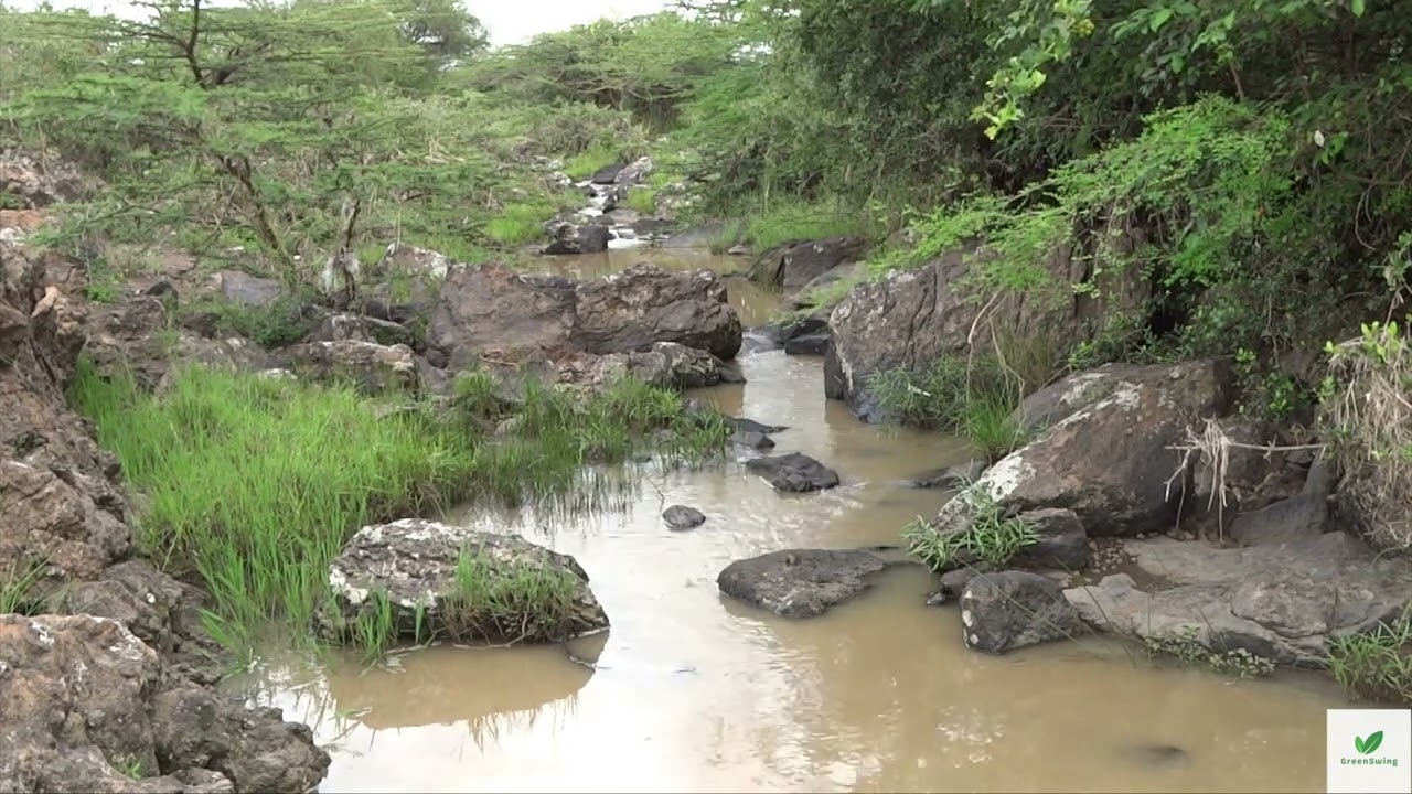 Valley Change - Climate Change # Generationrestoration # Climate Crisis #biodiversity