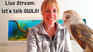 Follow Up Live Stream On I WILL NEVER BUY AN OWL AGAIN!