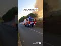 Incendio bosco strada #incendio #bosco #campagna #sora #ai